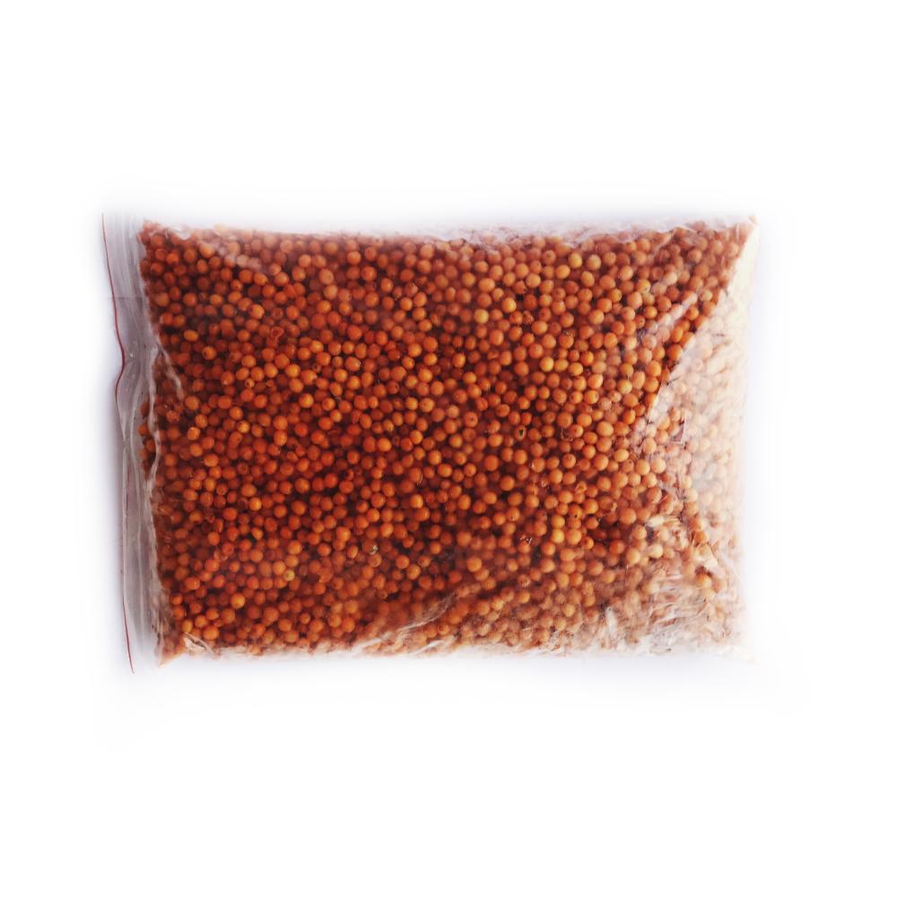 Frozen sea buckthorn for wholesale buyers with delivery